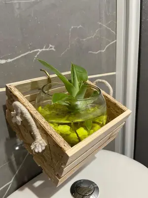 a wooden crate with a plant in a bowl on top of lettuce at Finca campestre mi retoño in Medellín