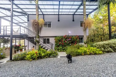 a black cat standing in the middle of a garden at Cabaña familiar BANIA con vista del embalse al lado de la piedra in Guatapé