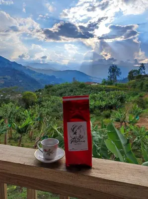 a cup of coffee sitting on a wooden rail with a view at Casa La Martina disponible en Jardín Antioquia in Jardin