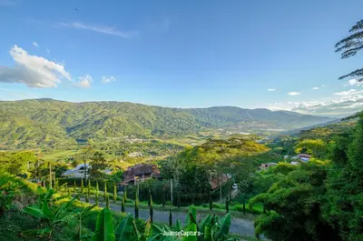 a view of a valley with trees and mountains at Cabañas de Lujo en Medio de la Naturaleza in Don Matías