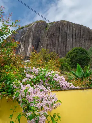 a bunch of flowers in front of a waterfall at Hermosa casa de campo en GUATAPÉ in Guatapé