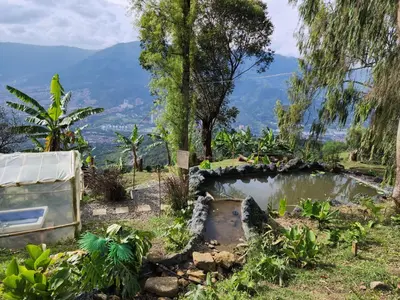 a small pond in a garden with mountains in the background at Glamping Spa & Coffee Tour in Medellín