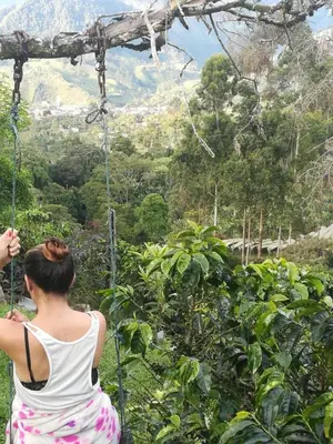 a woman on a zip line in the jungle at Finca Cafetera el Coral in Jardin