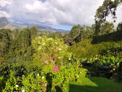 a view of a garden with mountains in the background at Finca Cafetera el Coral in Jardin