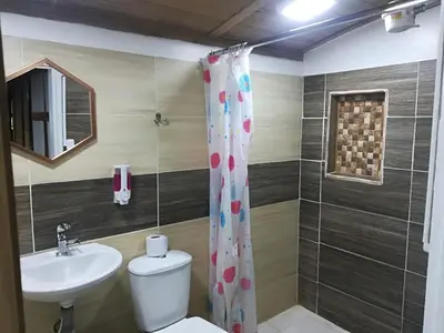 a bathroom with a toilet and a sink at Finca Cafetera el Coral in Jardin