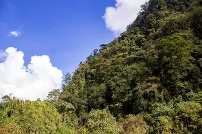 a mountain with trees and a blue sky at El Edén hotel Campestre in Pensilvania