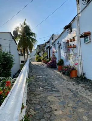 an empty street with a palm tree and buildings at El santorini colombiano en Doradal in Puerto Triunfo