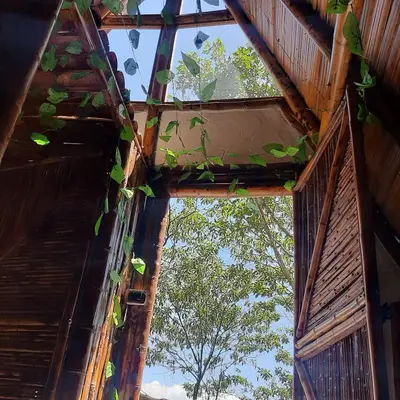 an open window of a building with leaves on it at Cabañas Camino al Agua - Cocorná in Cocorná