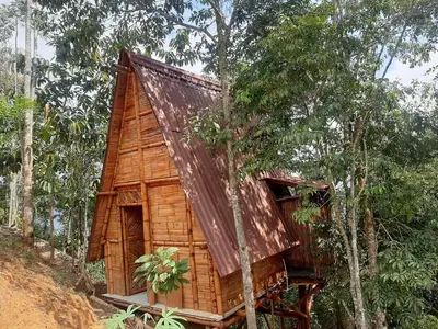 a tree house in the middle of the forest at Cabañas Camino al Agua - Cocorná in Cocorná