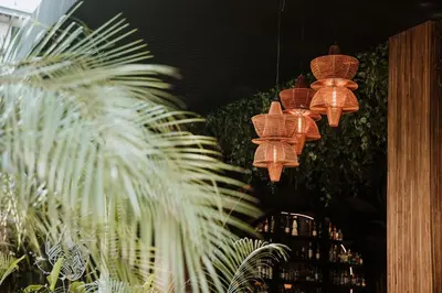 a group of chandeliers in a room with plants at Selvario 36 Hotel in Medellín