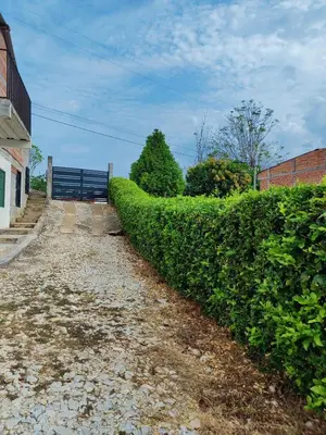 a hedge next to a walkway next to a building at CASA EN DORADAL in Puerto Triunfo