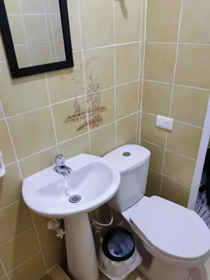 a bathroom with a white toilet and a sink at Cabaña 52 en la Aldea Doradal Santorini Colombiano in Doradal