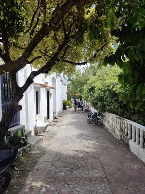 a tree hanging over a street with people walking down it at Cabaña 52 en la Aldea Doradal Santorini Colombiano in Doradal