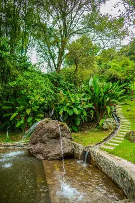 a stream of water in a pond with a rock at FINCA HOTEL CARMONIA DEL BOSQUE in Venecia