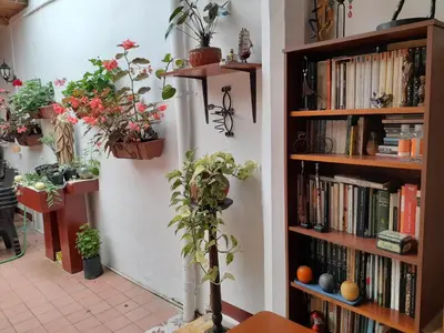a room with shelves with potted plants and books at Hostal La Comedia in Jardin