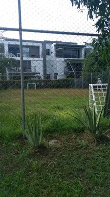 two plants in the grass next to a fence at Apartasol Ciudadela Santafe - Santa Fe de Antioquia in Santa Fe de Antioquia