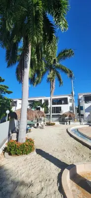 two palm trees on the beach in front of a building at Apartasol Ciudadela Santafe - Santa Fe de Antioquia in Santa Fe de Antioquia