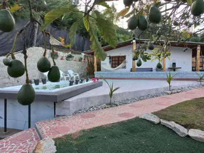a garden with a bathtub in a yard at Finca Palma de Coco, Municipio de el Peñol Antioquia in El Peñol