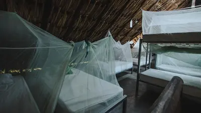 a room with two bunk beds with mosquito nets at Makenke Hostel By Los Colores Ecoparque in Doradal