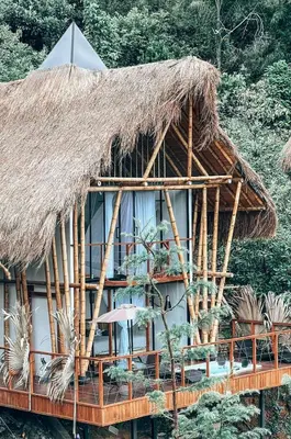 a hut with a thatched roof and plants at Ibuku Hotel Guatapé - Chalets in Guatapé