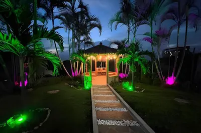 a house with green lights in a yard at night at Apt Palos Altos Poblado; caminando de restaurantes in Medellín