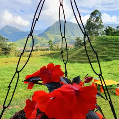 a bouquet of red flowers on a swing at Hospedaje Campestre El Rancho de Jero in Jardin