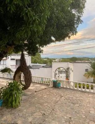 a tree in front of a white building at Aldea Inmueble in Doradal