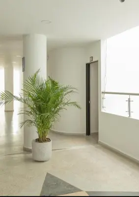 Gallery image of Hotel Dorado San Luis in San Luis
