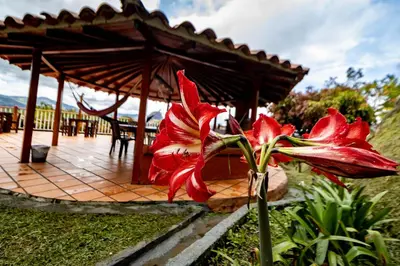 a red flower is in front of a pavilion at Finca-Hotel Montecarlo Guatape by Hope in Guatapé