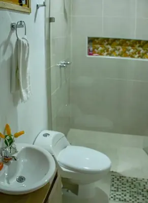 a bathroom with a toilet and a sink and a shower at Encanto! Casa de campo en Café de la Cima in Fredonia