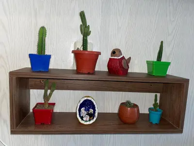a wooden shelf with cactuses and potted plants on it at casa amoblada, Doradal Antioquia, Santorini colombiano in Doradal