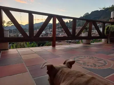a dog sitting on a patio looking at the city at Loft Terraza Jericó in Jericó