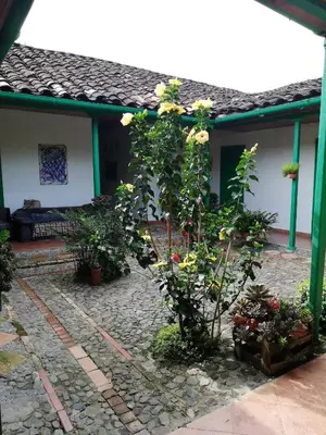 a garden with flowers and plants in front of a house at LUzArt in Jardin