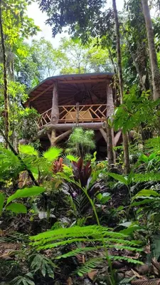 a tree house in the middle of a forest at ECO HOTEL RIO DE ORO in San Rafael