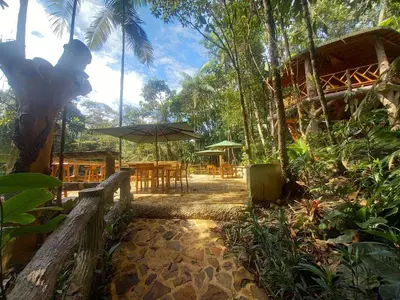 a patio with tables and umbrellas in a forest at ECO HOTEL RIO DE ORO in San Rafael