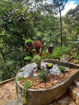 a garden with potted plants in a stone bowl at ECO HOTEL RIO DE ORO in San Rafael