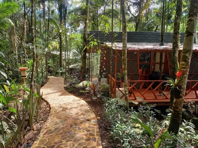 a house in the middle of a forest with a walkway at ECO HOTEL RIO DE ORO in San Rafael