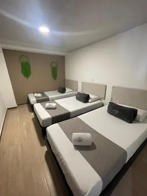 a room with four beds in it with green plants on the wall at Hotel Pass, Laureles Medellín in Medellín