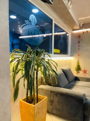 a plant in a pot in a room with a couch at Hotel Pass, Laureles Medellín in Medellín