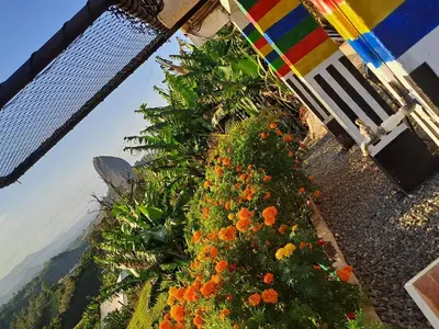 a group of plants with flowers and an umbrella at Chalet de Liz - Guatapé in Guatapé