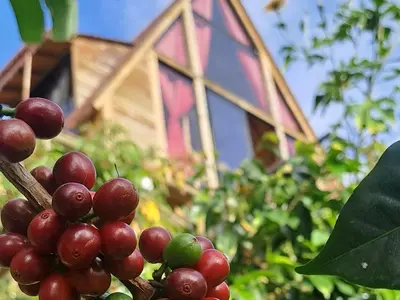 a bunch of red grapes in front of a church at Chalet de Liz - Guatapé in Guatapé