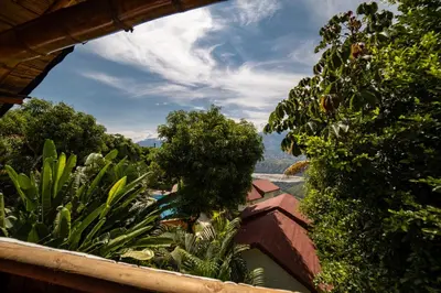 a view of trees and plants from a balcony at Glamping Mirador Santa Fe-Sopetran in Sopetran