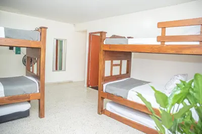 a room with three bunk beds and a plant at Hotel Villa Park Real in Medellín