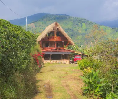 a large building with a grass roof at hospedaje rural finca cafetera La Maloka in Jardin