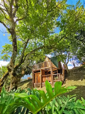 a log cabin on a hill with a tree at Pura vida alojamiento in Barbosa