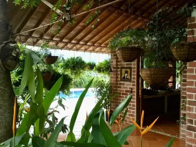 a patio with potted plants and a brick wall at Finca La Estación en Santa Fe de Antioquia in Santa Fe de Antioquia