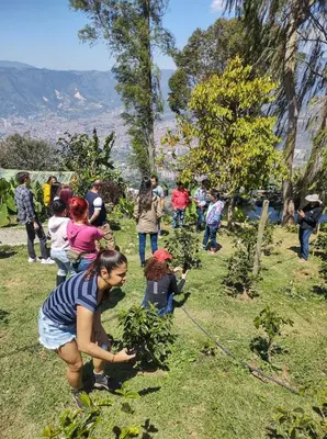 a group of people planting trees in a field at Cabaña Parque Arvi vista panorámica in Medellín