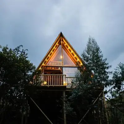 Cabañas con jacuzzi y chimenea - Casa Floral