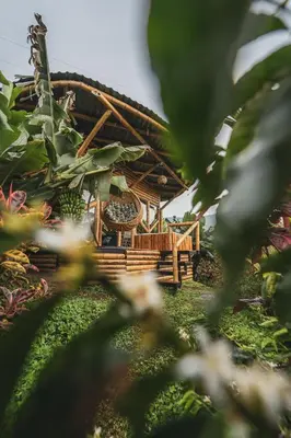a bamboo house with a thatched roof at The Coffee Club Campestre in Chinchiná