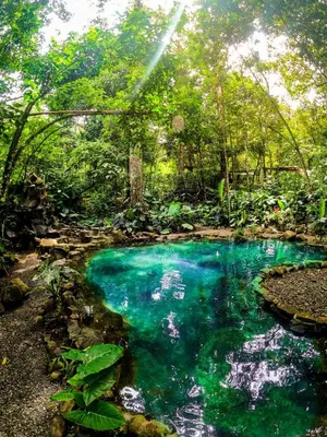 a pool of blue water in the middle of a forest at Cerro Tusa Springs in Venecia